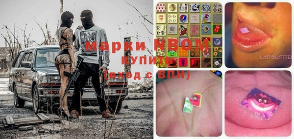 прущие грибы Алзамай