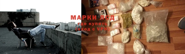 прущие грибы Алзамай