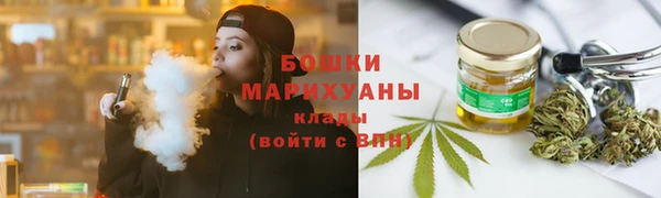 прущие грибы Алзамай