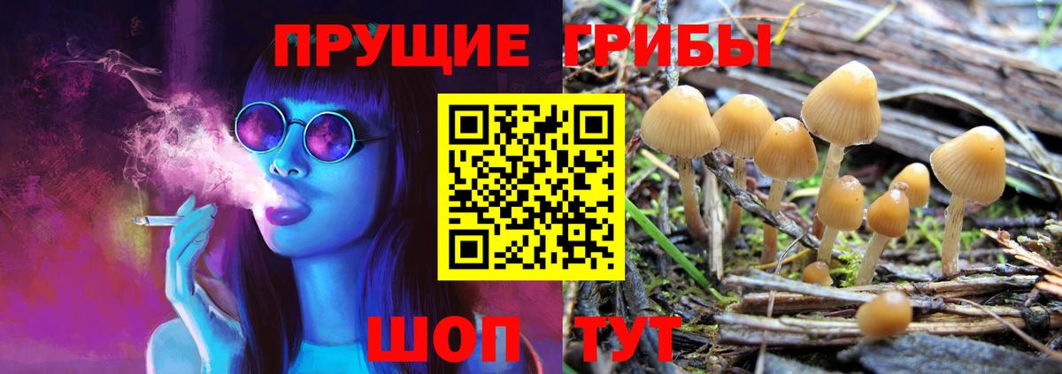 магазин продажи наркотиков  Галлюциногенные грибы Psilocybe  Галлюциногенные грибы Magic Shrooms  Вход с VPN  Лесосибирск 